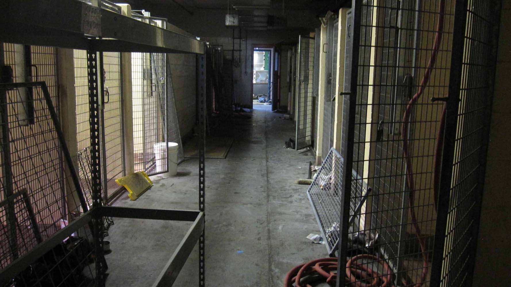ABANDONED DOG KENNELS ...partial build